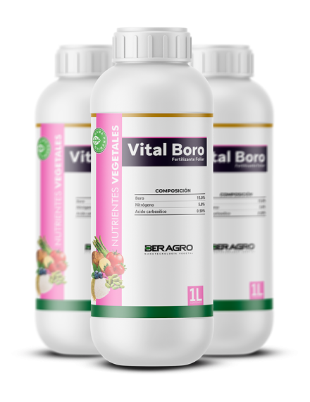 frasco-vital-beragro